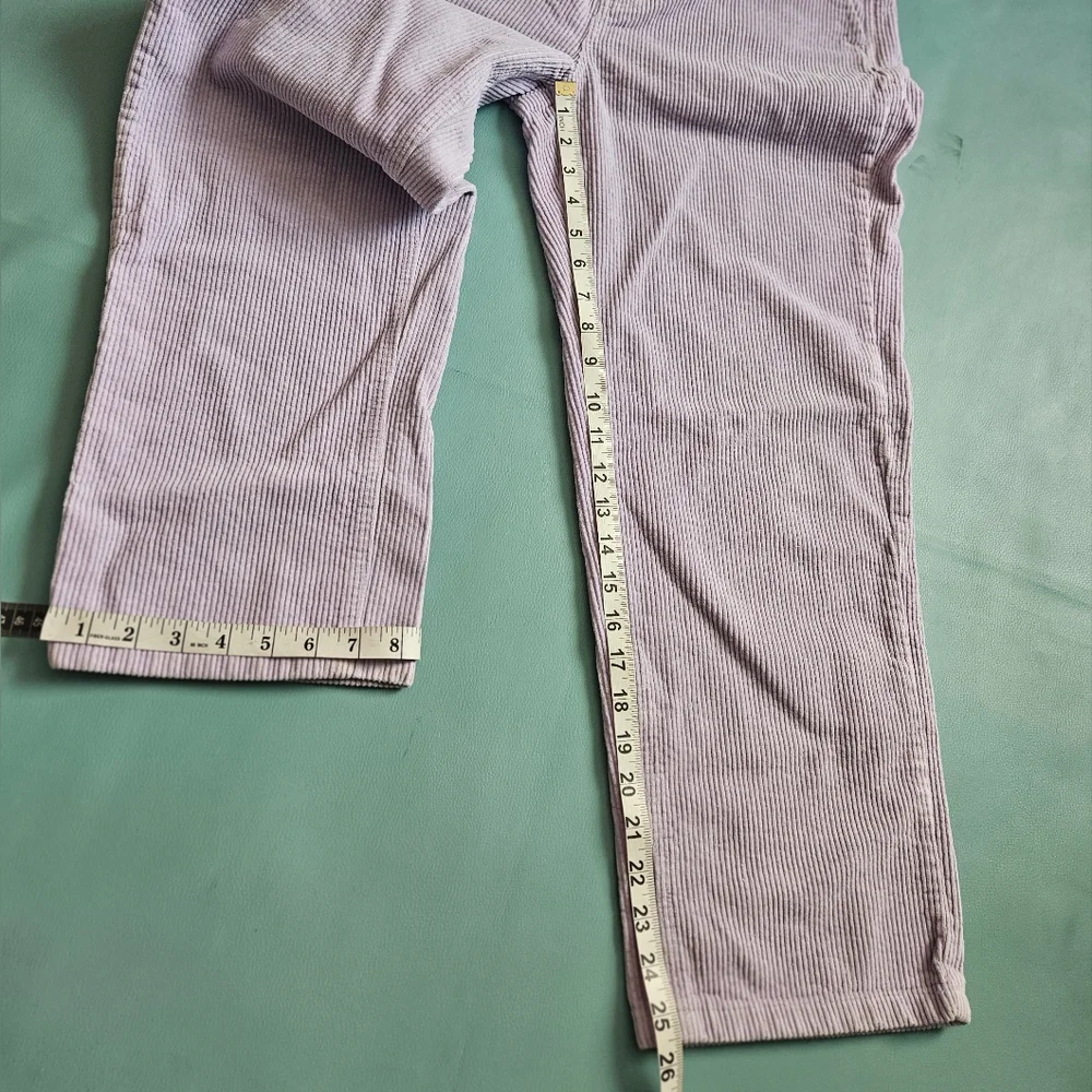 Paterson Wide Leg Lavender Corduroy Skate Pants